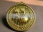 排球運(yùn)動(dòng)會比賽獎(jiǎng)牌 