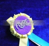 掛帶獎章,掛帶勛章,掛帶徽章,掛帶獎牌,掛帶胸章