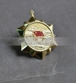 共青團五四青年獎?wù)?五四青年勛章,金質(zhì)勛功章