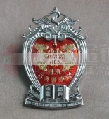 香港外科醫學院高級徽章,高檔金屬制品,金銀工藝品